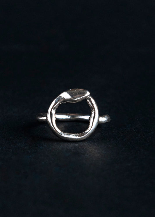 Ouroboros Ring